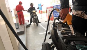 (ANTARA/ Zabur Karuru)