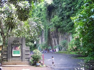 taman hutan raya djuanda 021