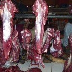 ciri-dagingsapi-gelonggongan