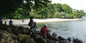 pantai-di-nusa-kambangan