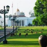 Kebun Raya Bogor (photo: google)