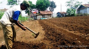 0210lahan-cianjur