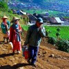 1744013EI-DIENG-Setiap-pagi-petani-Dieng-mendaki-bukit-menuju-ladang-kentang-foto-Anjas-Prawioko