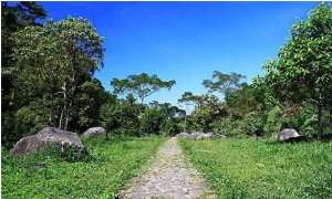 pondok halimun gbr1