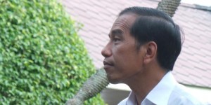 jokowidodo