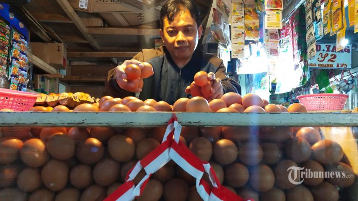 Pedagang Sayangkan Harga Telur Yang Terus Naik, Ungkap Dua Faktor Di Balik Kenaikan