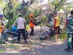 Pohon tumbang di Sukabumi