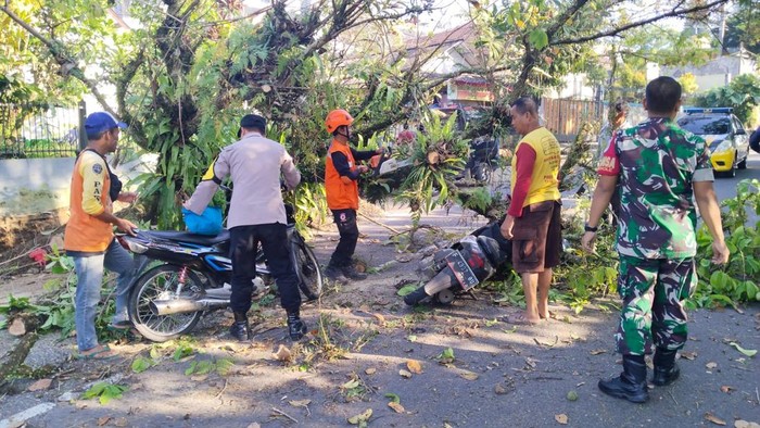 Pohon tumbang di Sukabumi