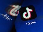 Popularitas Tiktok Kalahkan Instagram, Bulan Ini Pecah Rekor 54 Juta Kali Unduhan