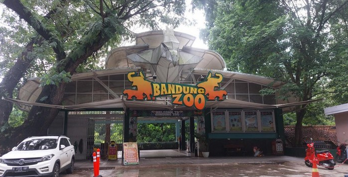 Nasib Bandung Zoo Sekarang: Aset Disita, Badan Hukum Dibekukan